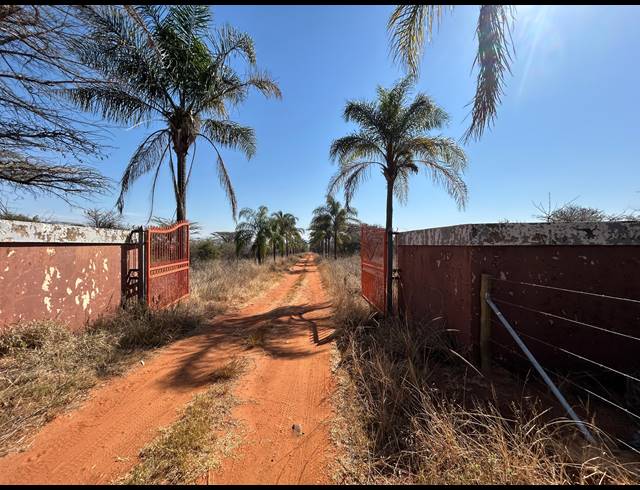FARM FOR SALE IN DE WILDT